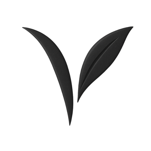 feature of a product